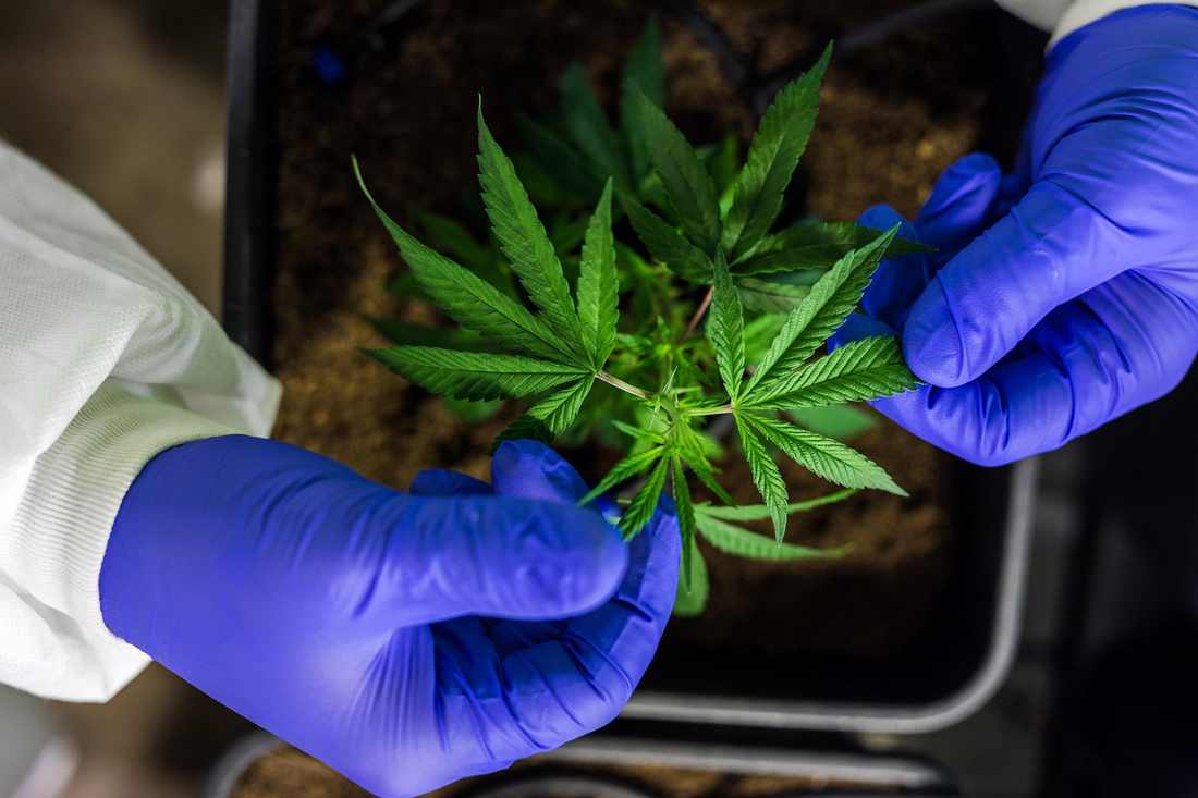 Enem 2025 resultado recurso isenção taxa